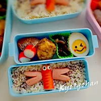 Snapdishの料理写真:高校生と幼稚園の弁当☆トンボ|kyoさん