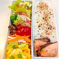 Snapdishの料理写真:7/23 お弁当🍖