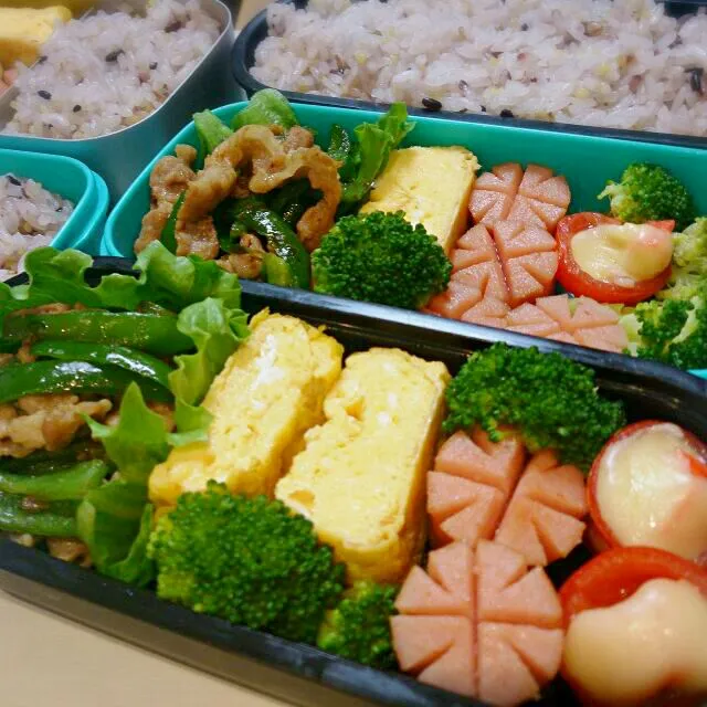 Snapdishの料理写真:今日のお弁当【2014.7/24】|lemonadeさん