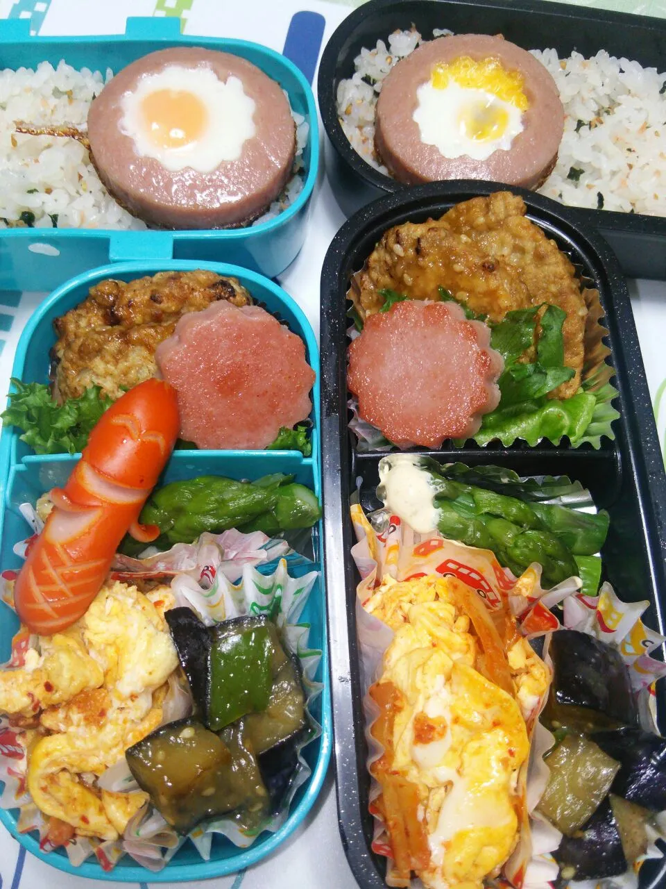 Snapdishの料理写真:7月25日　高校生女子＆オレ弁当|クッキングおやぢさん