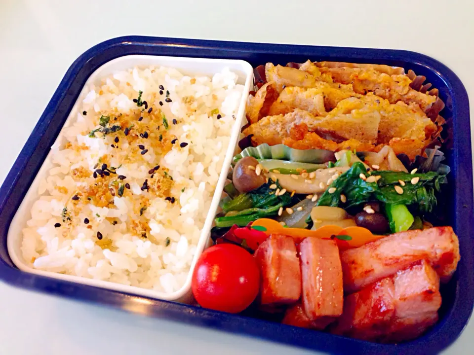 豚肉のピカタ弁当|のぞみさん