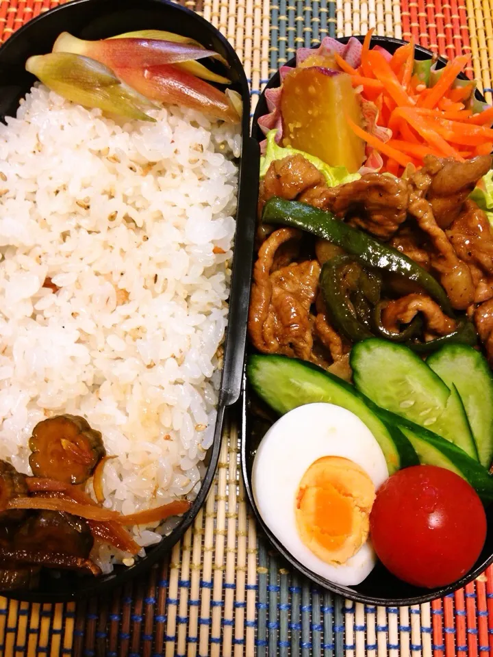 0725 今日のパパお弁当|江口亜梨子さん