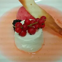 essences of rose panna cotta strawberry consumme watermelon and vodka sorbet|noelさん