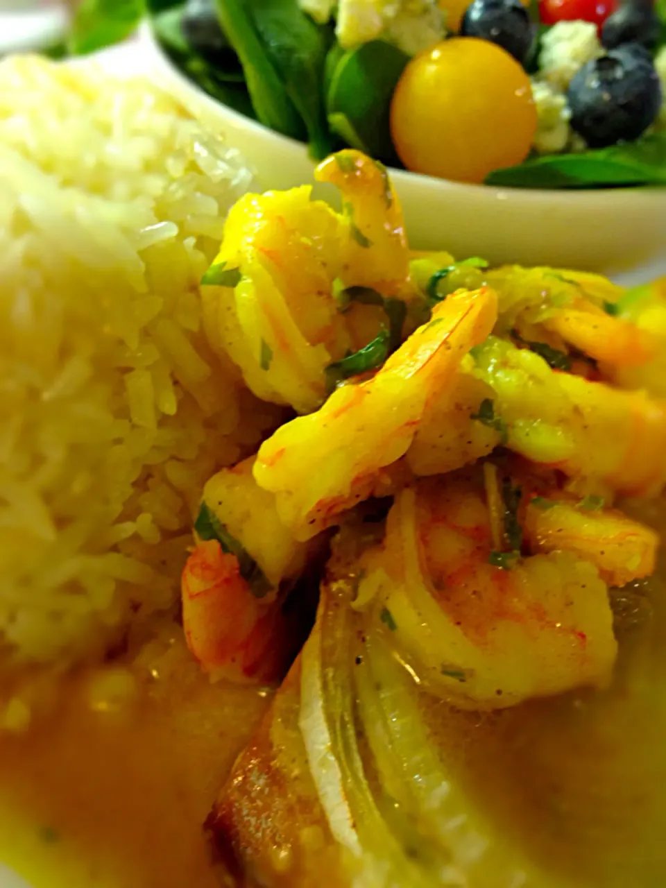 Spicy Shrimp in Coconut Milk, Baked Salmon, Rice and a Side of Spinach Salad|Joさん