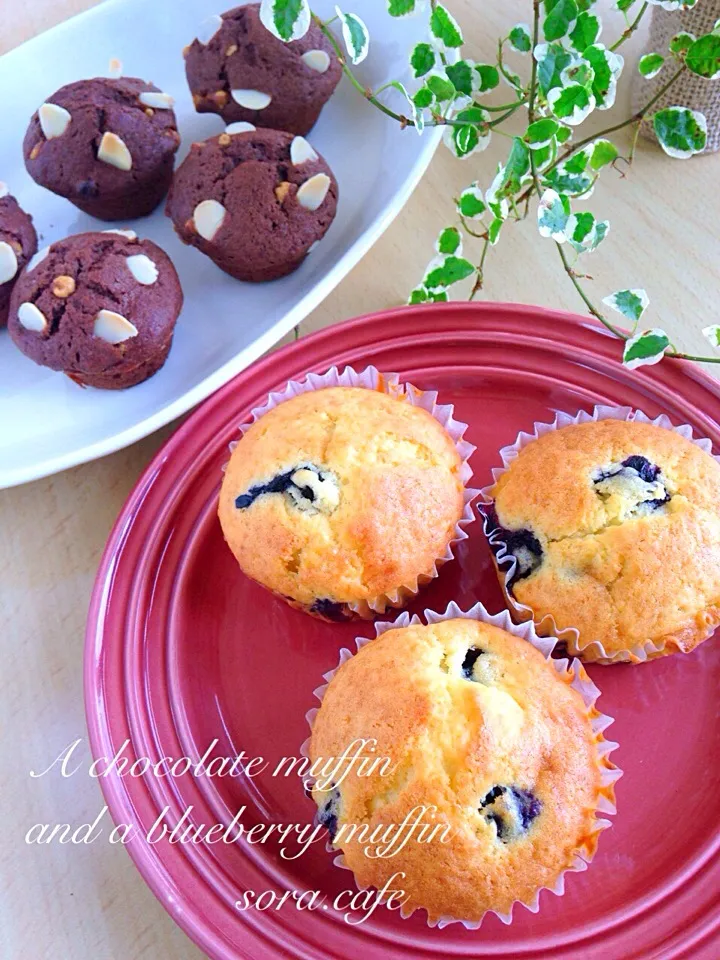 チョコレートマフィンとブルーベリーマフィン✨|soraさん