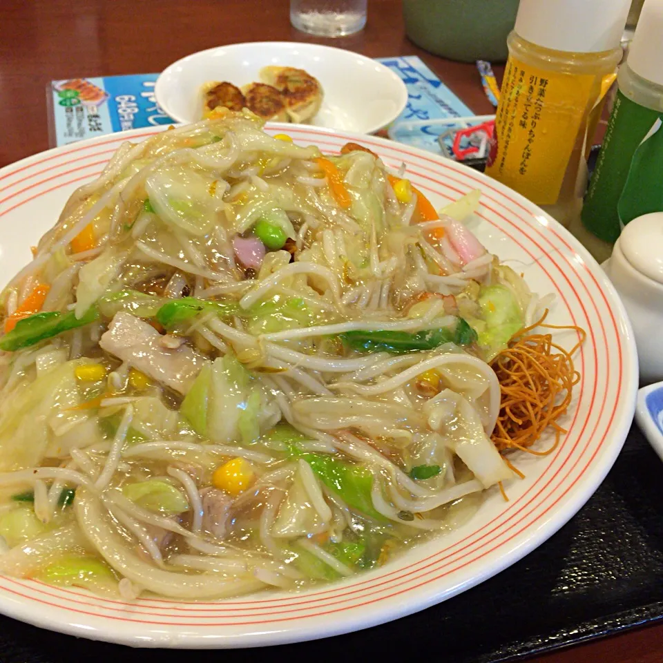 野菜たっぷり皿うどん|さるさん