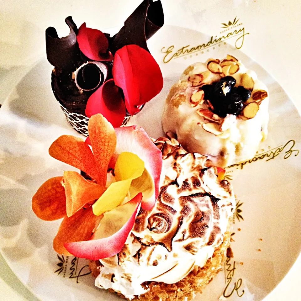 From Extraordinary Desserts! Cheesecake, chocolate cupcake, lemon blueberry bundt cake.|bottlerocket26さん