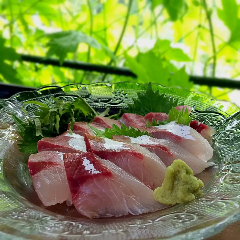 新鮮はまちのお刺身ʕ-̼͡-ʔ🐟|七海さん