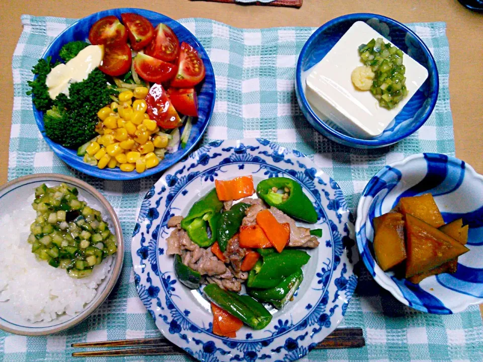 万願寺唐辛子の炒め物がメインの晩ご飯|エツ次郎さん