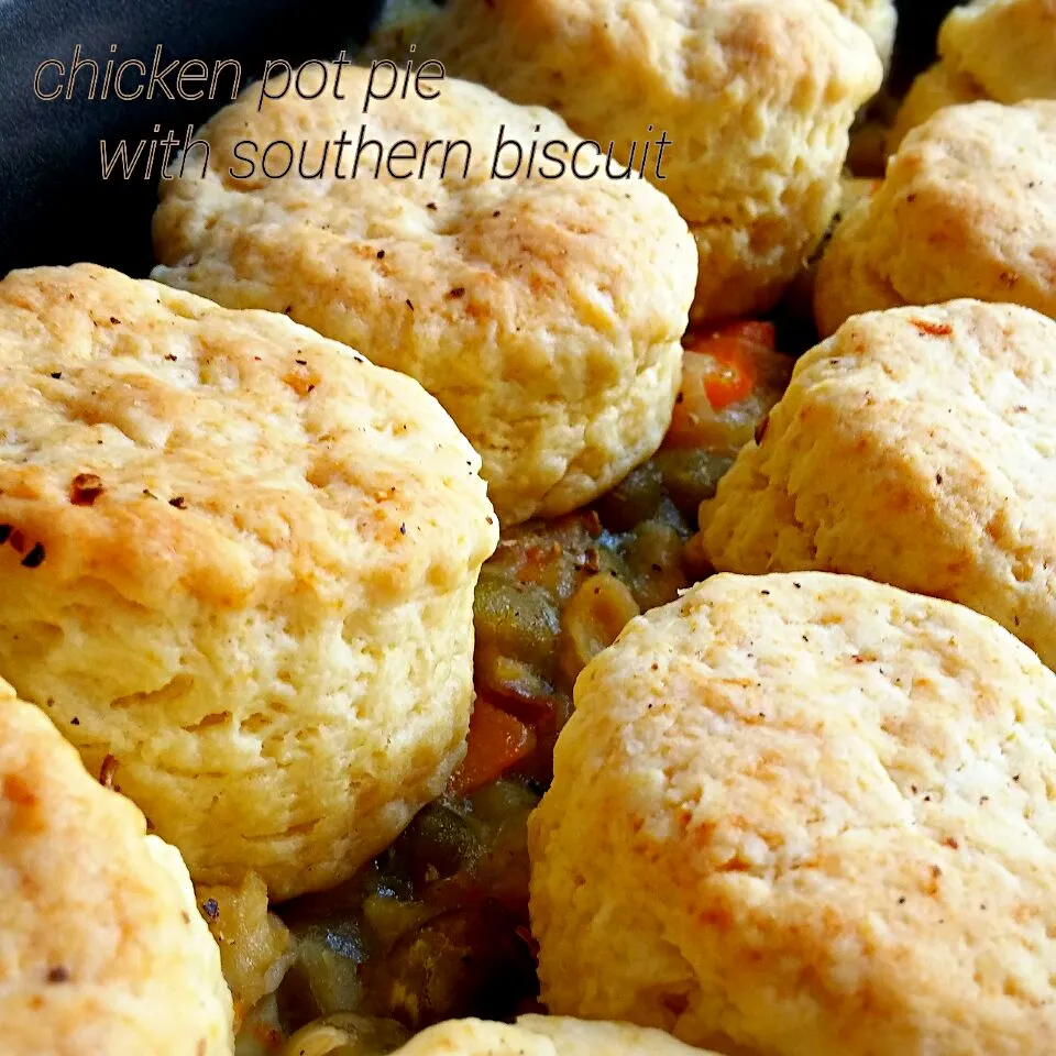 chicken pot pie with southern biscuits

 #Biscuit #chickenpie #Cake/Pie #potpie #bake|dotdotdotx2さん