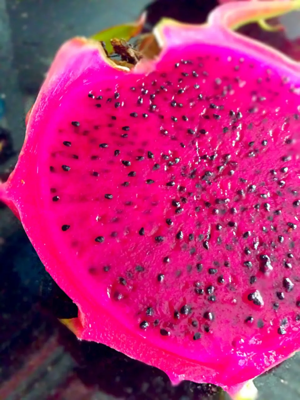 Red fleshed dragonfruit|coxiella24さん