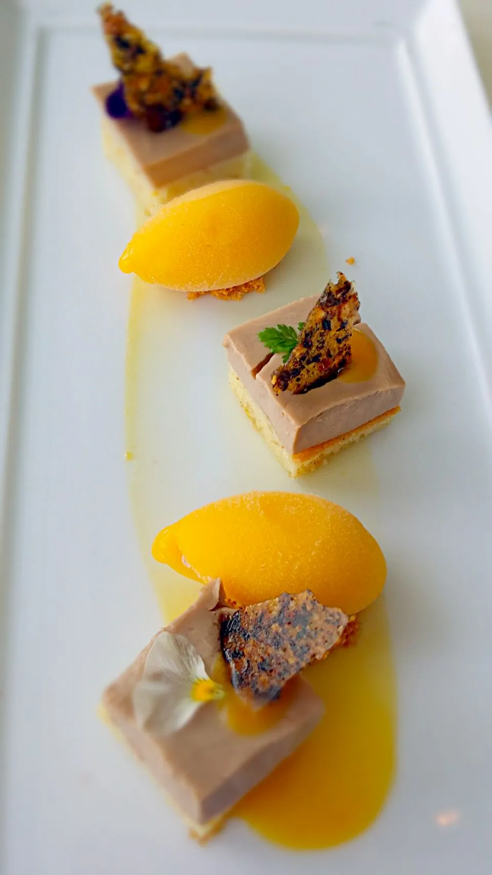 mango sorbet with coffee cream cake|yyyさん