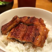 うな丼|ゆりかごさん