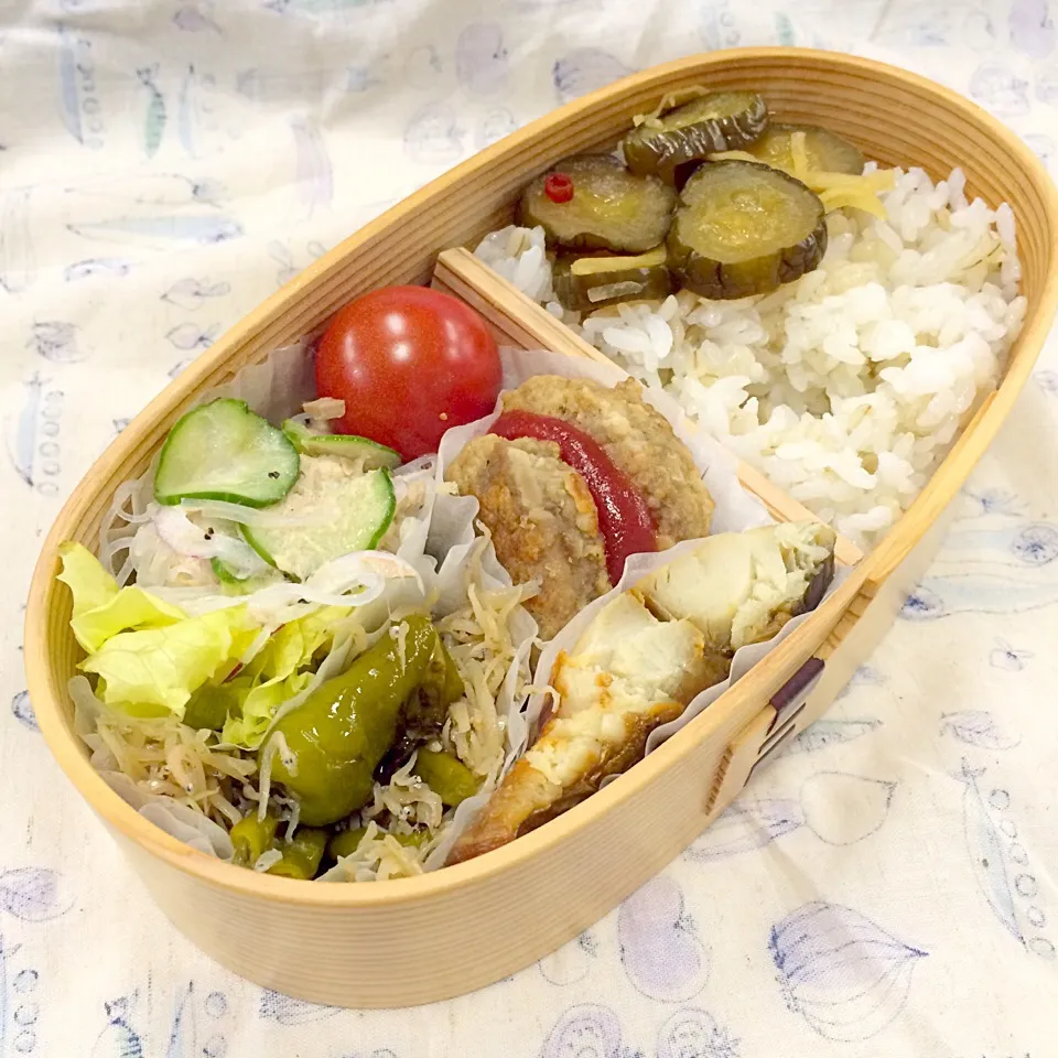 弁当（鯖塩焼き、ハンバーグ、ししとうとジャコの炒め煮、サラダ、キュウリ醤油漬け）|SasaMasa213さん