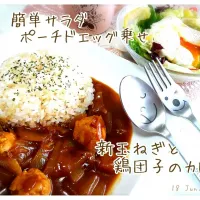 新玉ねぎと鶏団子のカレー|Megumiさん