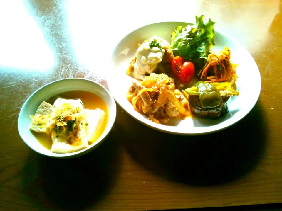 本日の利用者さんの夕食

豚のしょうが焼き
ベジチキン南蛮
キンピラゴボウ　トマト入り
茄子とピーマンの洋風煮浸し
煮豆腐

味噌汁
ごはん|Ikushiro Kusanoさん