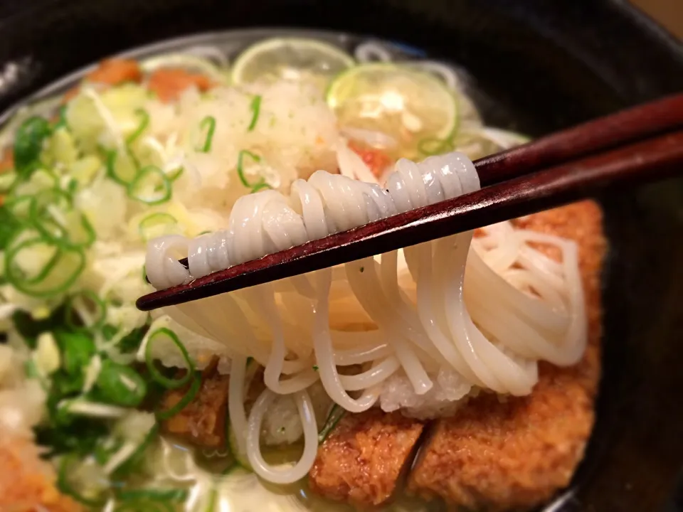 フィッシュカツすだちおろしそうめん6|半田手延べそうめんの店 阿波や壱兆さん