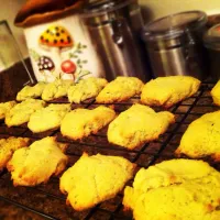 Snapdishの料理写真:Avocado Cookies|lisaさん