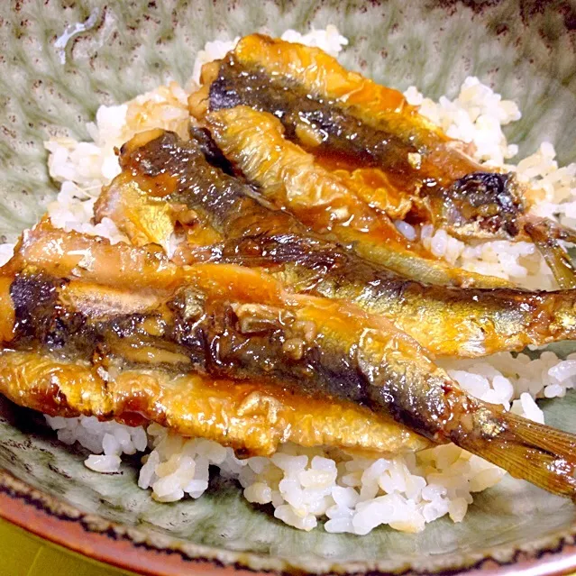 鰯の蒲焼き丼|舐め子さん