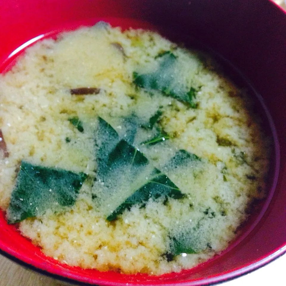 Snapdishの料理写真:Miso soup|Laarni Nabongさん