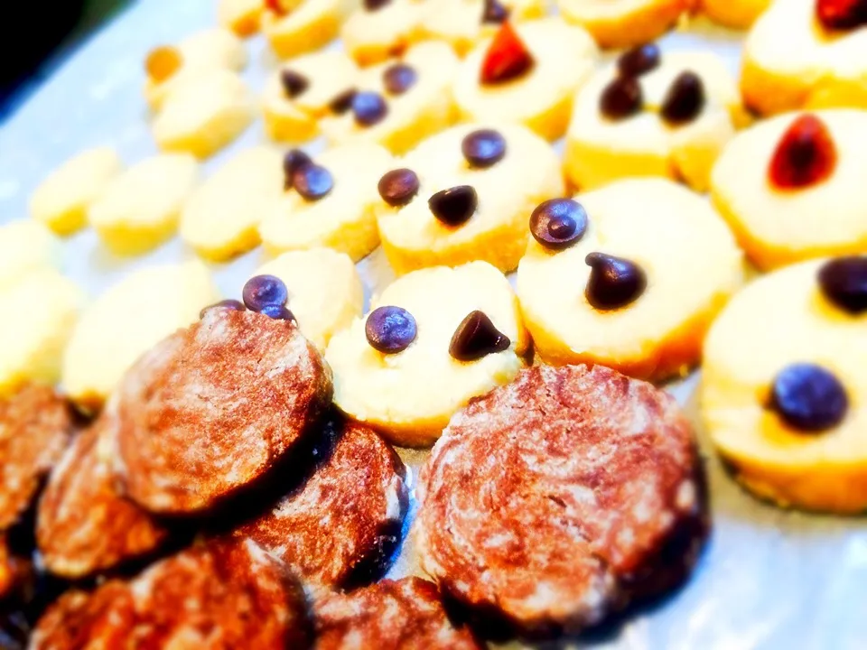 Snapdishの料理写真:さくホロクッキー😋🍪🍪|ぴいさん