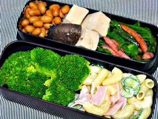 お弁当（マカロニサラダ、高野豆腐と干し椎茸の煮物、煮豆、ピーマンとウインナーの炒め物、ブロッコリー）|すーさん