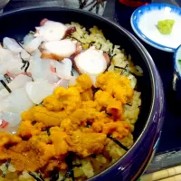 Snapdishの料理写真:天草海鮮丼|toshiさん