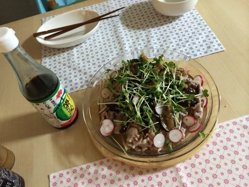 Snapdishの料理写真:茄子ともやし、豚肉の冷しゃぶ|Hiroroさん