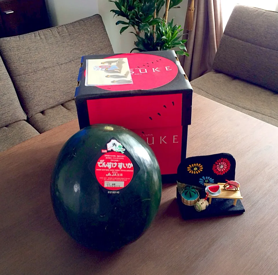 でんすけ🍉〜🎵|pentarouさん