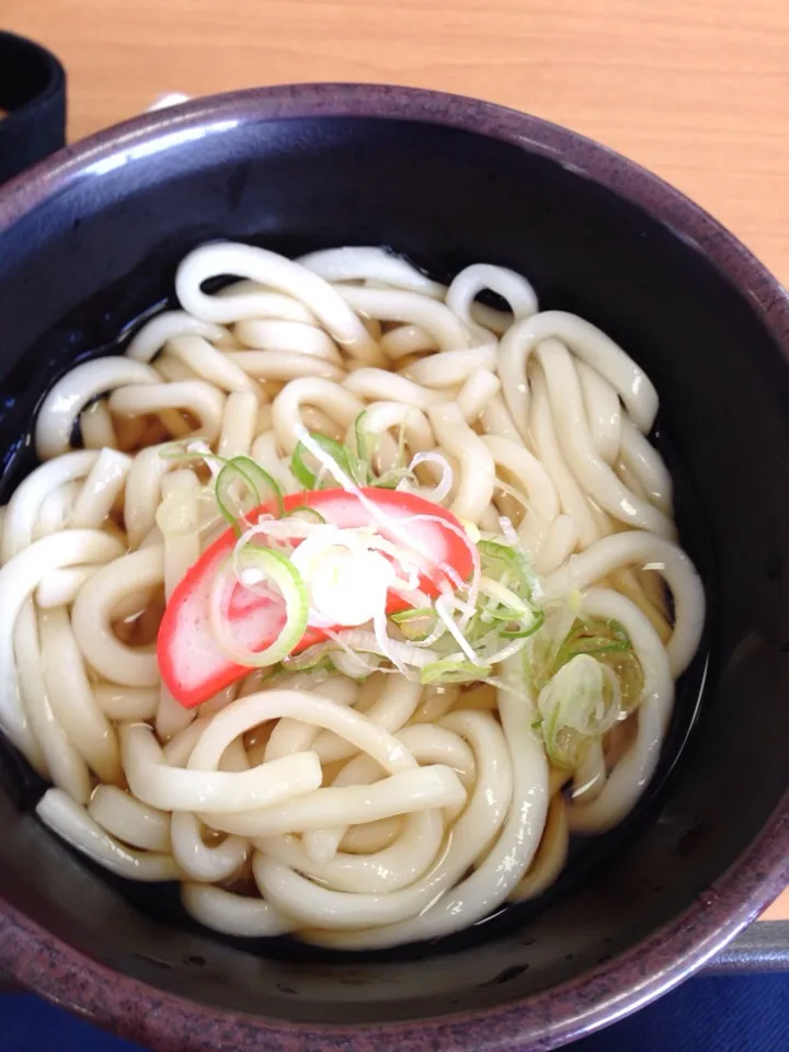 うどん|おぎしょーさん