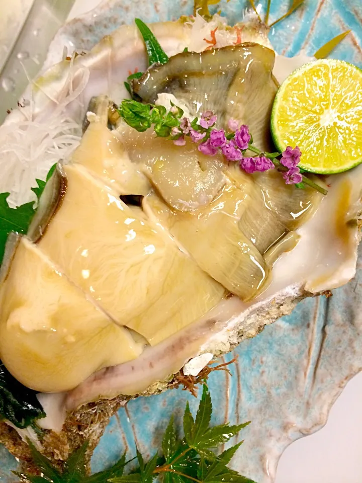 |Shingo  Adachiさん