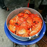 crabs in thailand|Ng Michaelさん