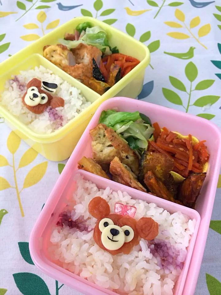 Snapdishの料理写真:梅干しシェリーメイのお弁当|manacocoさん