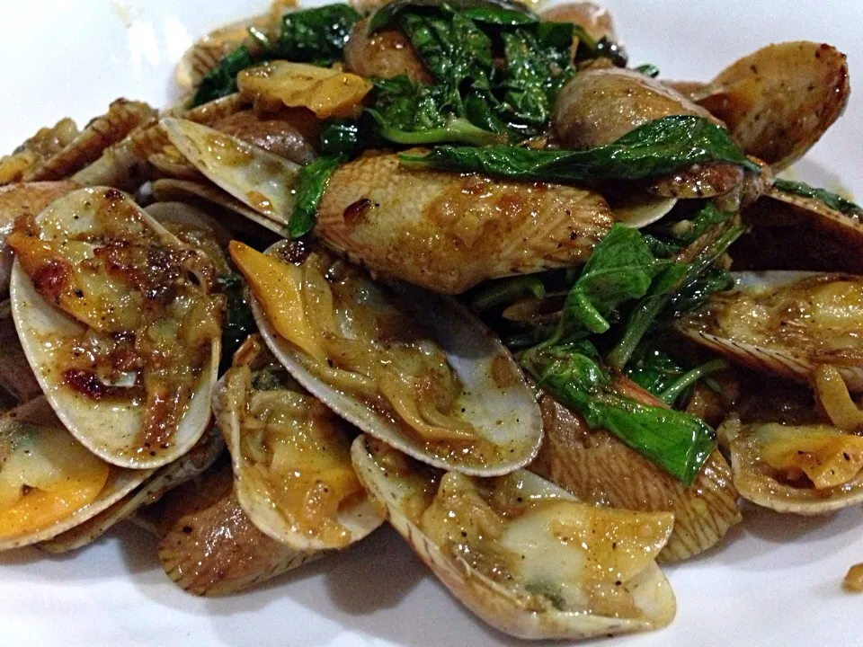 Venus shell fried with sauce|Wanchaiさん