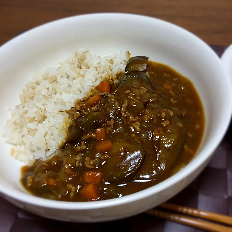 ナスと挽肉のカレー、もち麦ごはんで|Koichi GOGOさん