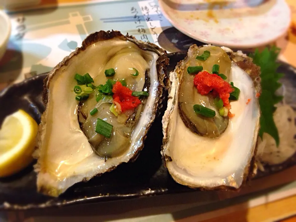 岩牡蠣|はなおさん