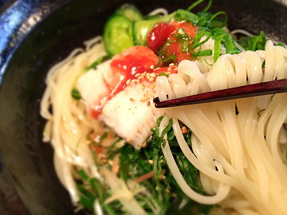 鱧の梅薬味そうめん6|半田手延べそうめんの店 阿波や壱兆さん