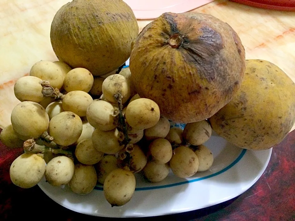 Snapdishの料理写真:Phil. Fruits Santol and Lansones|Maribeth Trinidad Nakamuraさん