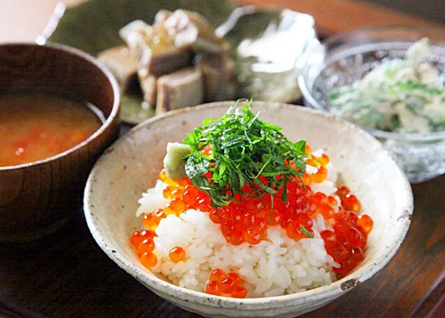 いくら丼、大トロ＆赤身の柚子胡椒マリネ、トマトの味噌汁、ゴーヤとシーチキンのサラダ|マユマユさん