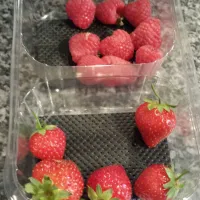 Punnet of berries.  How splendid.|Ian Williamsさん