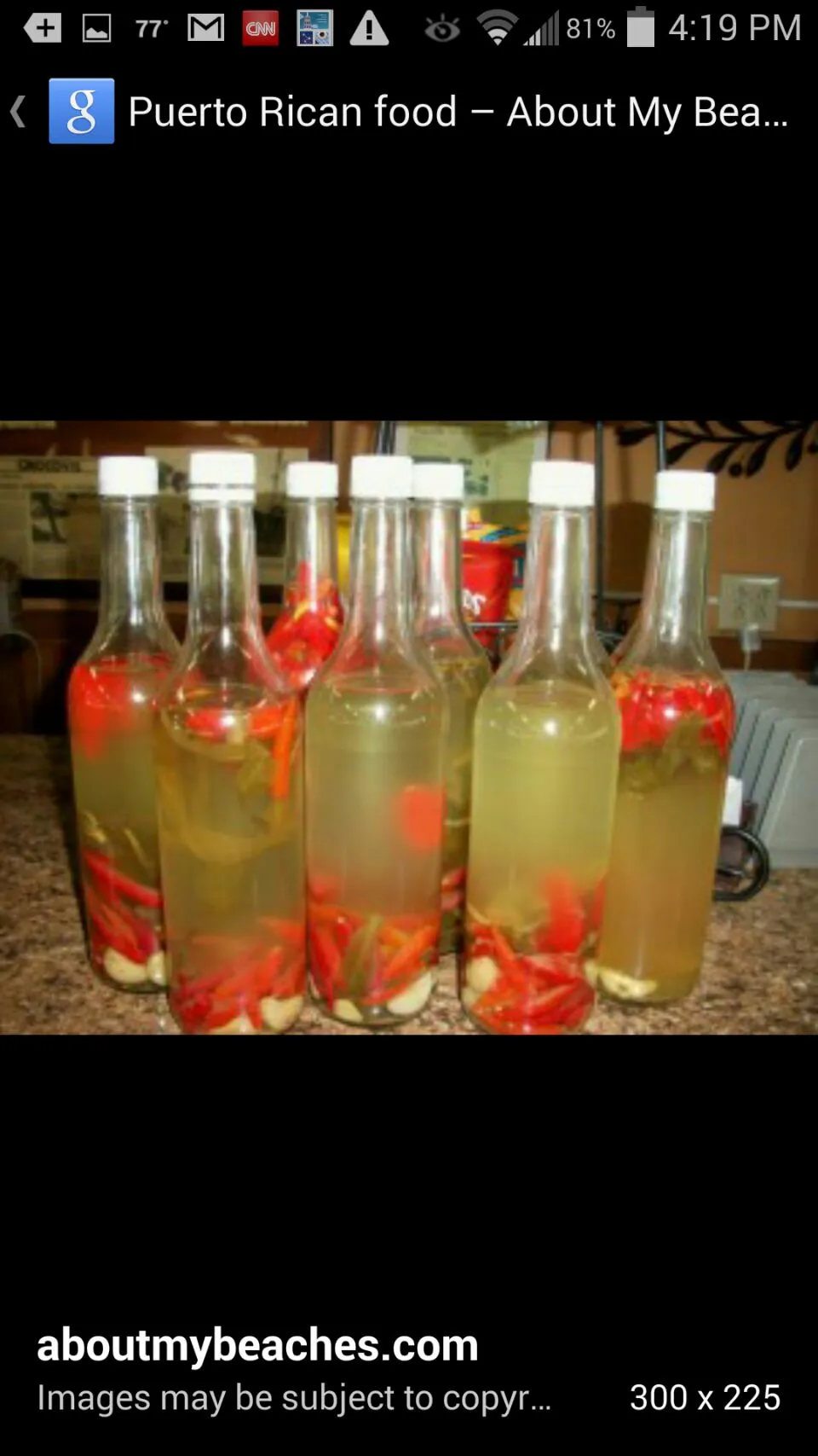 Nothing like homemade hot sauce Puertorican style.|Frank Ortizさん