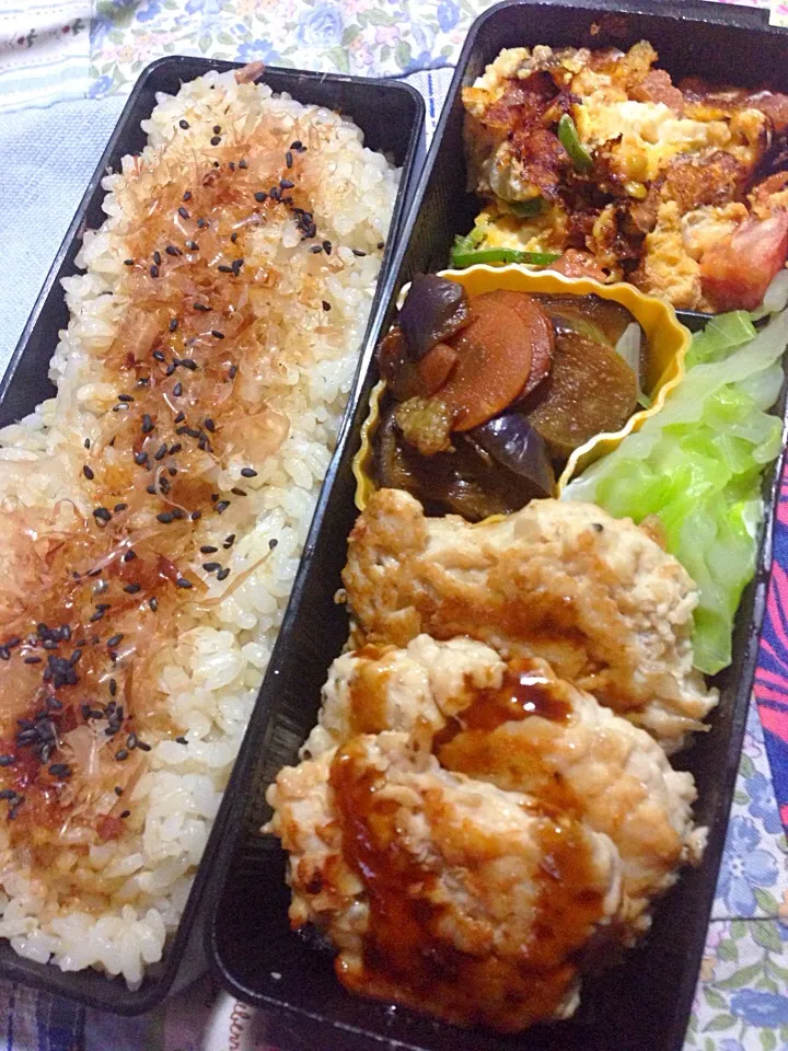 Snapdishの料理写真:つみれハンバーグ弁当|ゆかりすさん