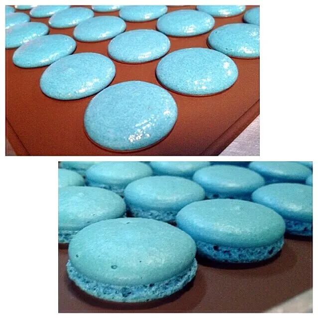 #macaron #마카룬 #마카롱|CatSaNovyさん