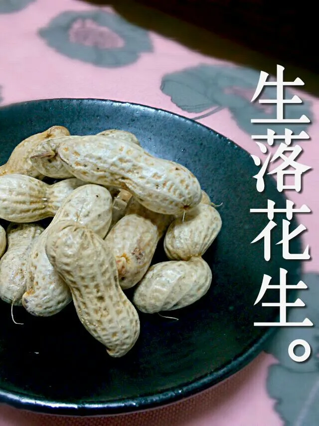 Boiled peanuts!!|和田 匠生さん