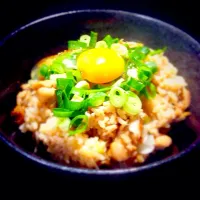 鳥飯丼|ありばばさん