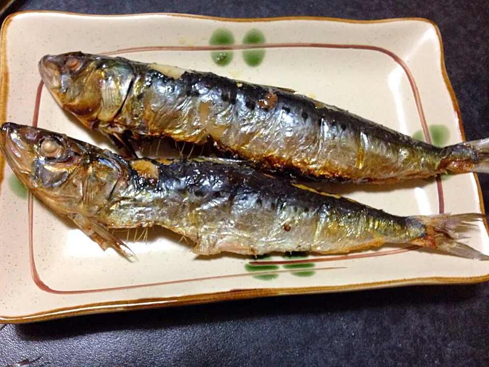 鰯(いわし)🐟ー😋脂がーノリまくってー😂たまらん〜♪|きのすけ〜さん