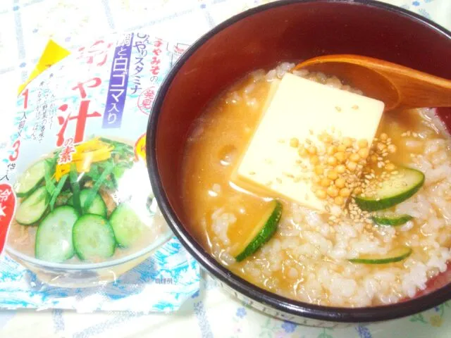 Snapdishの料理写真:冷や汁ごはん|うたかた。さん