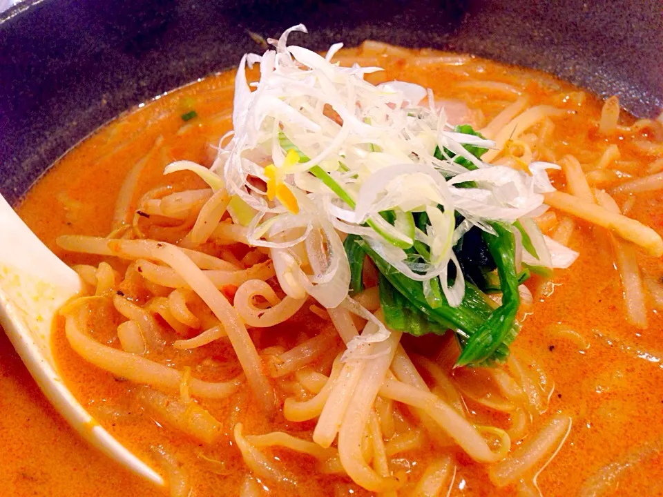 俺のラーメン、辛味噌ラーメン！|松下勇作さん