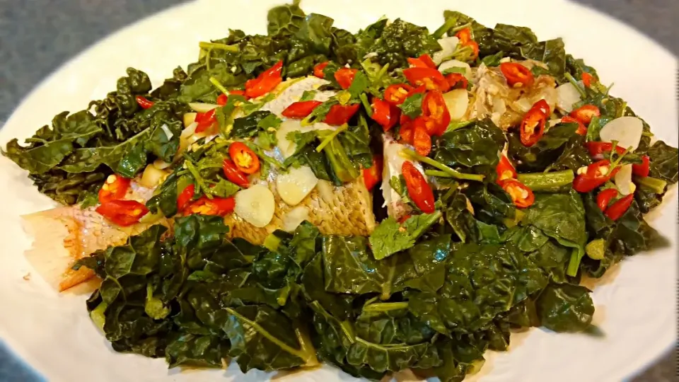 steamed red snapper on a bed of steamed kale and spinach|Jiraphon Gさん