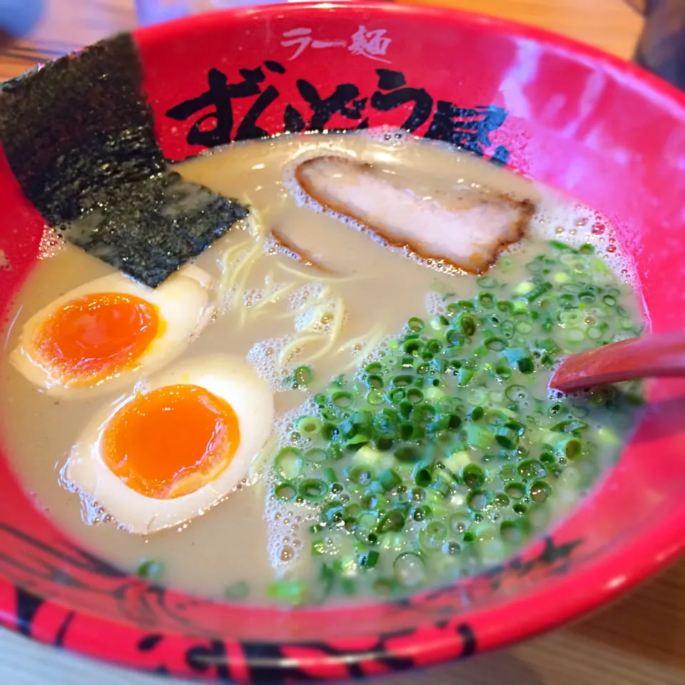 味玉らーめん…あっさり細麺！|shuさん